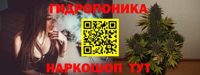 прущие крисы Бийск