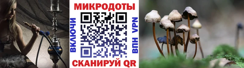 Псилоцибиновые грибы прущие грибы Каменск-Шахтинский